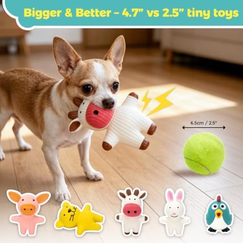 LECHONG 5 Pack Latex Dog Toys for Small Dogs – Squeaky Squeeze Toys, Puppy - Image 3