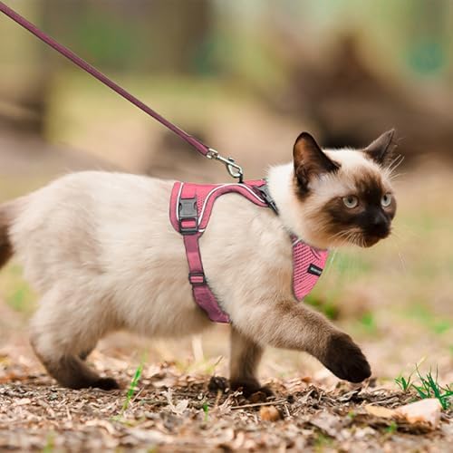Cat Harness, Cat Harness and Leash - Image 5