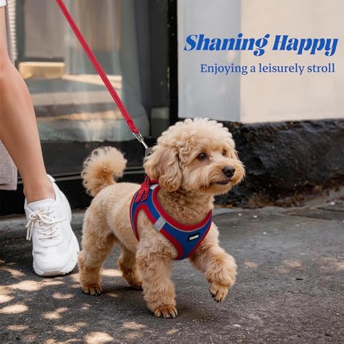 No Pull Dog Puppy Harness and Leash Set Reflective Mesh Vest XX-Small - Image 6