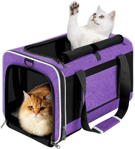 GAPZER Large Cat Carrier Soft, Collapsible Travel Pet Carry Bag, Small Dogs by GAPZER