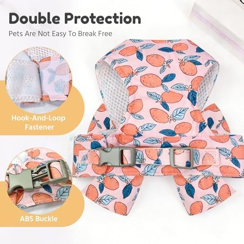 BAEJMJK Dog Harness and Leash Set - Image 6