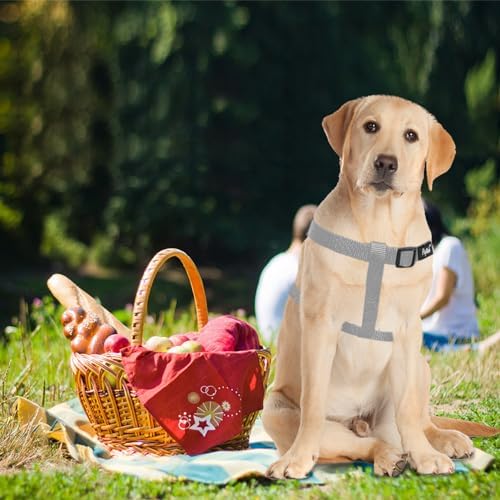 PUPTECK No Pull Dog Harness Medium Sized Step-in Adjustable Puppy Vest - Image 5