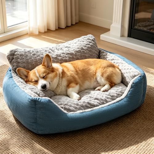 Medium Dog Bed, Orthopedic Bolster Sofa by NOFKYNOXA