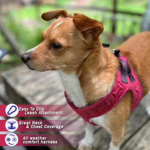 Comfort fit Step-in Dog & Puppy Harness - Image 2