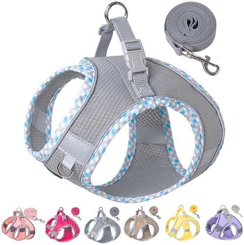 Petank Step in Dog Harness No Pull and Leash by PetankCareforEveryPaw