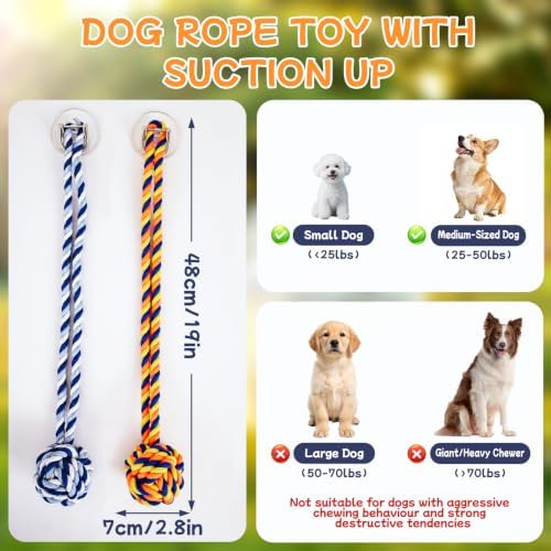 Dog Rope Toy with Suction Cup Interactive Tug of War Toy 2Pcs - Image 3