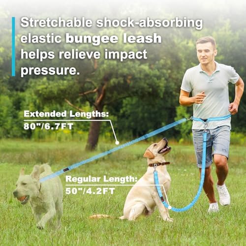 Laqibak Hands Free Dog Leash, Adjustable Waist Leash - Image 4