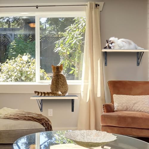 Burlywood Cat Furniture Indoor Set of 2: Wood Shelves - Image 5