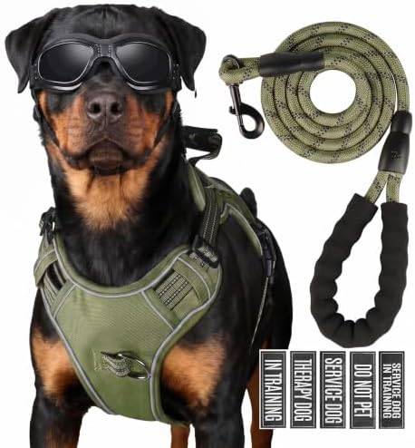 Dog Harness and Leash Set for Small Dogs, No Pull Tactical Dog Harness by Unknown