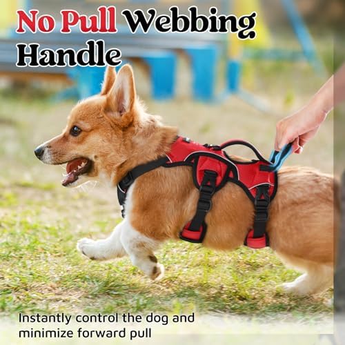 rabbitgoo Escape Proof Dog Harness - Image 4