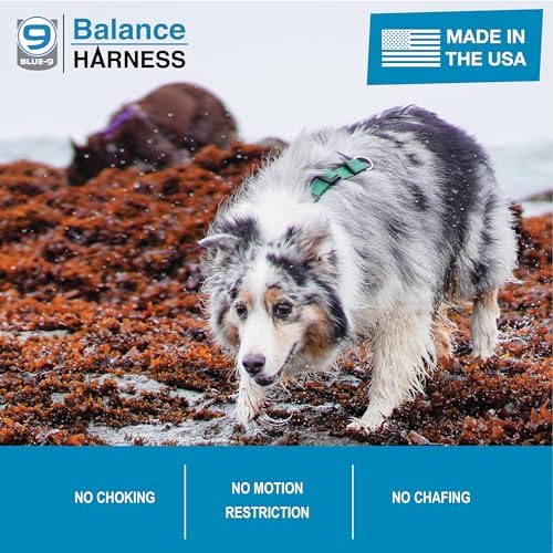 Blue-9 Balance Harness® for Dogs, Buckle-Neck, Hunter Green - Image 3