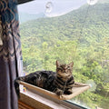 Cat Window Perch, Cat Hammock Window Seat Bed Space Saving Design 360° Sunbath by WelcometotheWANTKA