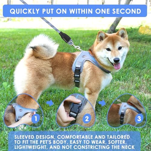 Dog Harness and Leash Set, No Pull Saddle Style Pet Harness, Breathable Mesh - Image 4