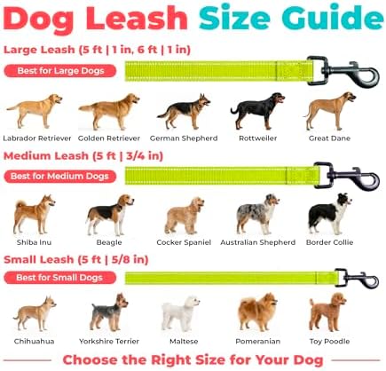 Best Pet Supplies Voyager Nylon Dog Leash - Image 6