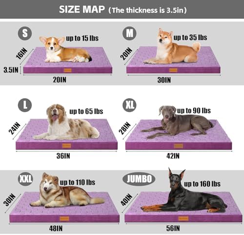 Patas Lague Orthopedic Large Dog Bed Pet Crate Mat 42''X28'' Purple - Image 5