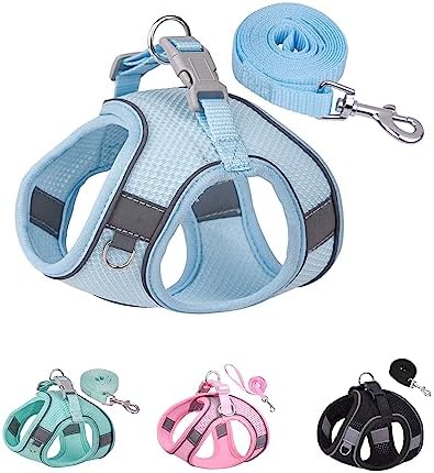 Solmoony Dog Harness and Leash Set by SOLMOONY