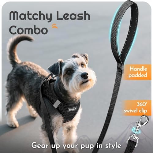 Eagloo Small Dog Harness and Leash Set, Step in Small Sized Puppy Pet Vest - Image 6