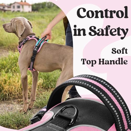 rabbitgoo Dog Harness Small Sized, Updated Easy On & Off - Image 4