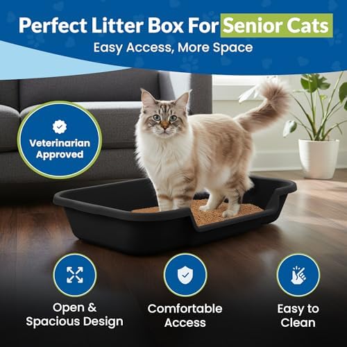 KittyGoHere Senior Cat Litter Box, Large - Image 2