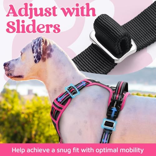rabbitgoo Dog Harness Small Sized, No Pull 3 Buckles Easy On & Off - Image 5