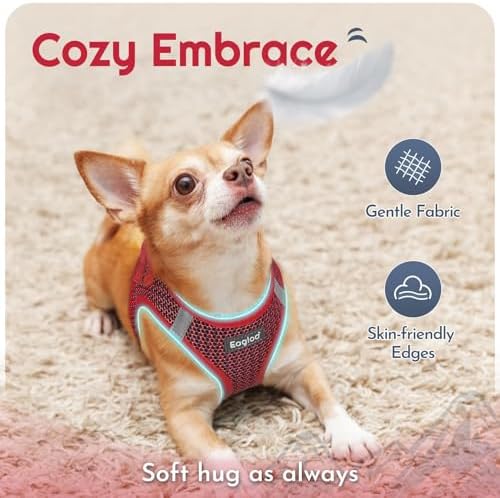 Eagloo Small Dog Harness and Leash Set, Step in Small Sized Puppy Pet Vest - Image 4