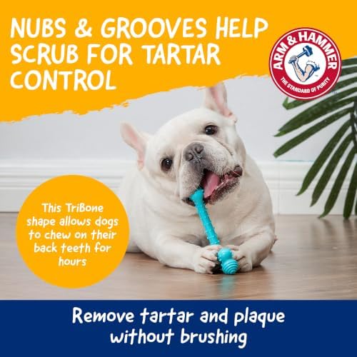Arm & Hammer Nubbies T-Bone Dental Dog Chew Toy, Peanut Butter - Image 3