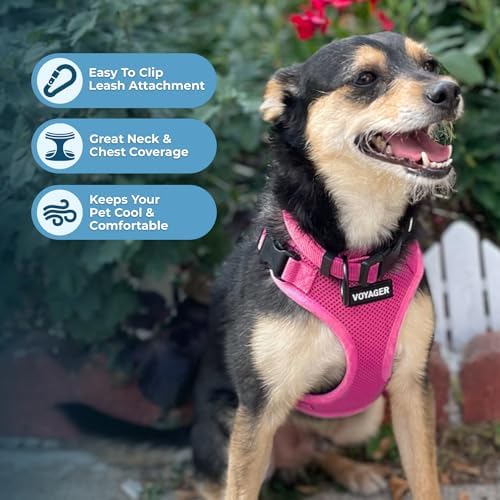 Voyager Step-in Lock Dog Harness - Image 3