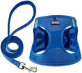 Dog Harness with Leash Set, Step-in Adjustable Puppy Pet Vest by BOOMIBOO