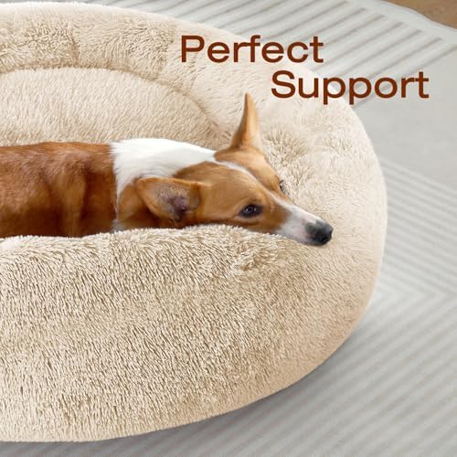 JOLLYVOGUE Dog Bed, Calming Anti-Anxiety Large Dog Bed, Fluffy Donut Cushion - Image 2