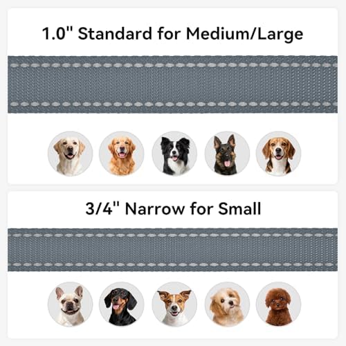 Joytale Reflective Dog Leash for Small Dogs, 4 FT x 3/4" - Image 6