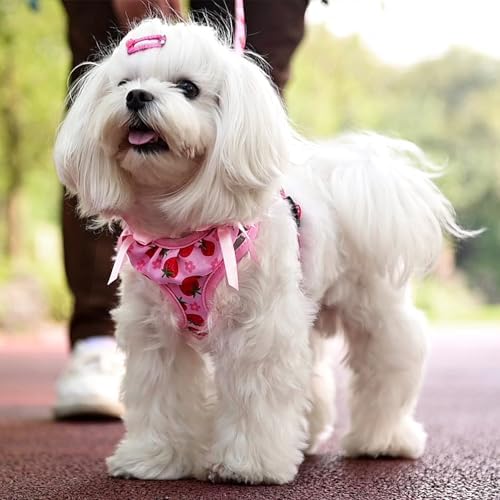 PUPTECK Dog Harness and Leash Set Small Sized, Step in No Pull Adjustable Puppy - Image 5