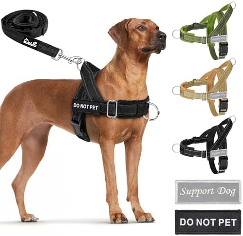 Lukovee No Pull Dog Harness and Leash Set, Soft Padded by Lukovee
