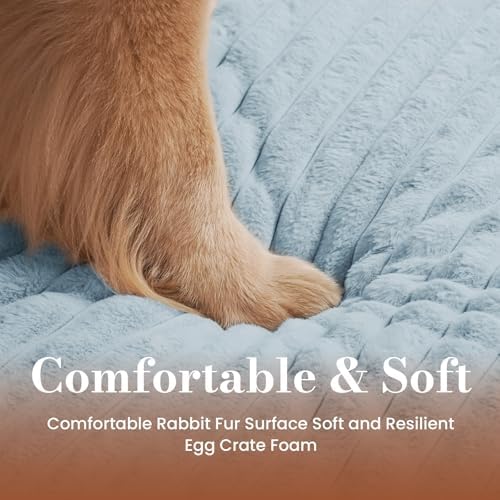 Medium Dog Bed Orthopedic Foam - Image 4