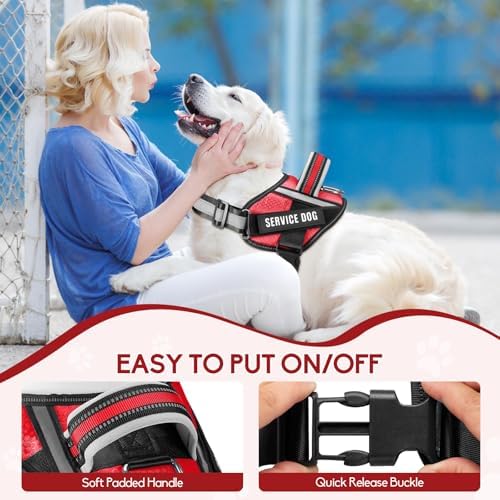 Service Dog Vest Harness and Leash Set, Animire in Training Dog Harness - Image 3