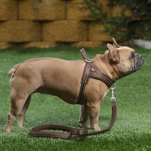 Plutus Pet No Pull Dog Harness for Small Dogs, Breathable Mesh Padded - Image 5