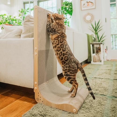 Necoichi Cardboard Cat Scratcher Wall by NECOICHI