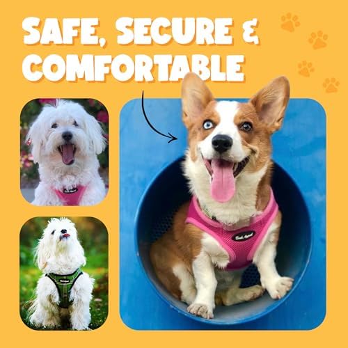 Bark Appeal Blue Plaid Step-in Dog Harness - Image 5