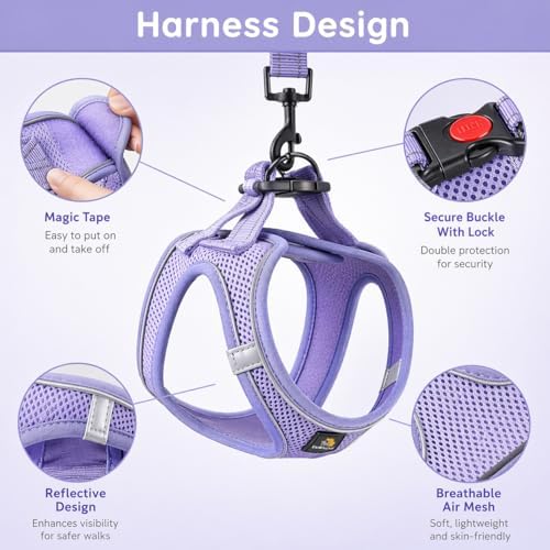 BELLA & PAL Step in Puppy Harness and Leash Set - Image 3