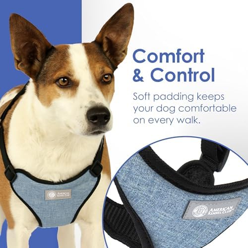 AKC Premium Padded Step-in Dog Harness – Soft Comfort Fit - Image 4