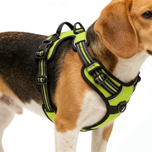 Green No-Pull Dog Harness with 2 Leash Clips，Soft Padded Vest - Image 4