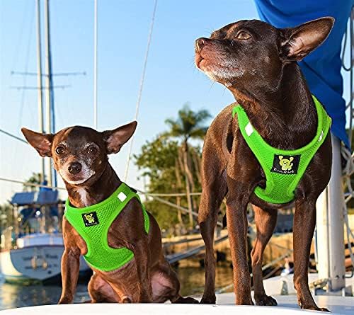 EcoBark Step in Dog Harness - Image 4