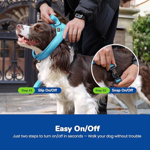 Didog No Pull Dog Harness for Large Dogs, Breathable Mesh Padded - Image 4