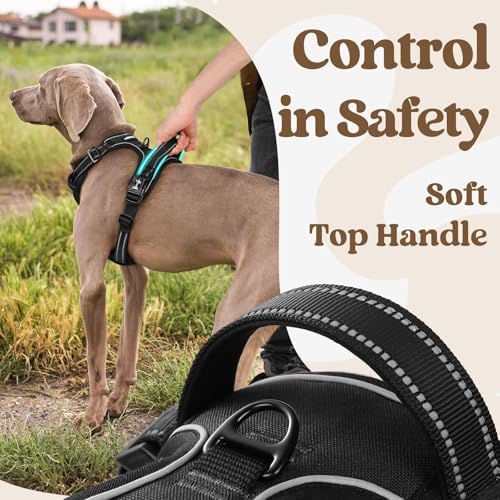 rabbitgoo Dog Harness Medium Sized, Updated Easy On & Off - Image 5