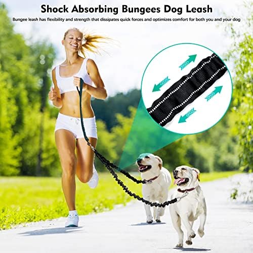 Snagle Paw Bungee Leash Extender, Double Dog Coupler, 0-30 lbs - Image 2