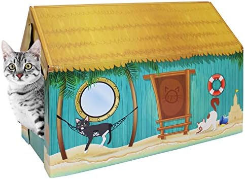 American Cat Club Cat House - Image 3