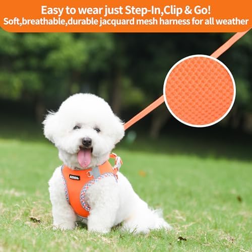 AIITLE Small Dog Harness and Leash Set - Image 3