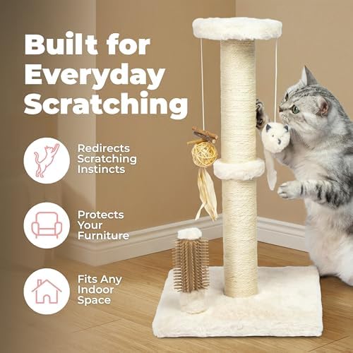Best Pet Supplies Catify Cat Scratching Post - Image 2