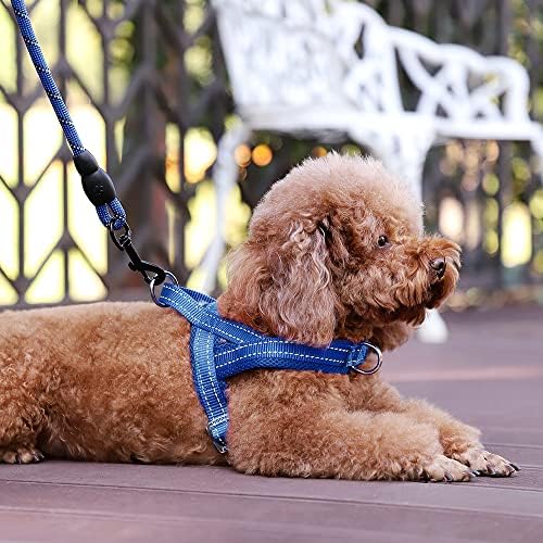 Plutus Pet No Pull Dog Harness for Small Dogs, Breathable Mesh Padded - Image 5