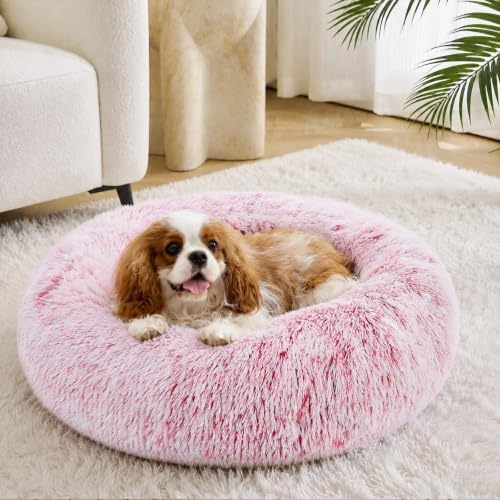 JOLLYVOGUE Calming Dog Bed Medium Size Dog, Anti-Anxiety Donut Medium Pet Bed - Image 2