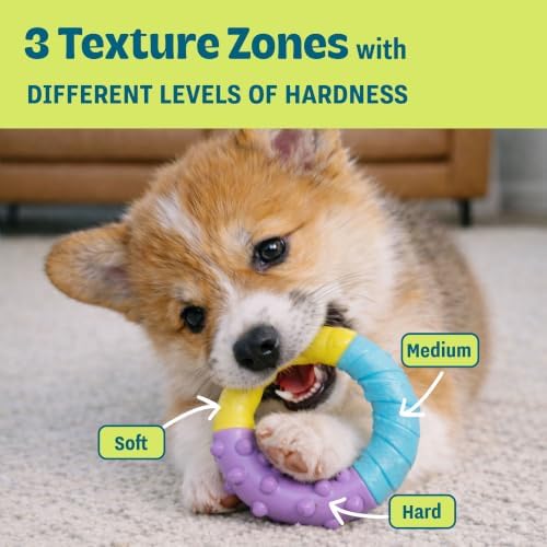 Grow-With-Me Ring Dental Dog Chew Toy, Bounces & Floats - Image 6